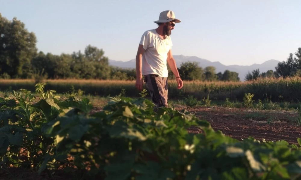 Στρατηγικό σχέδιο από την Ιρλανδία: Πριν πεινάσουν...καλλιεργούν
